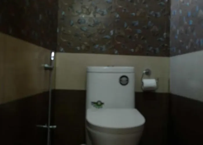 Khangsar Guest house 3*