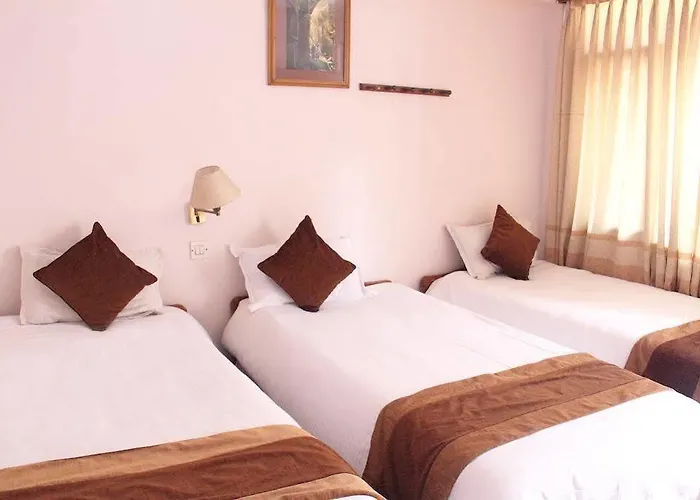 Guest house Khangsar 3*