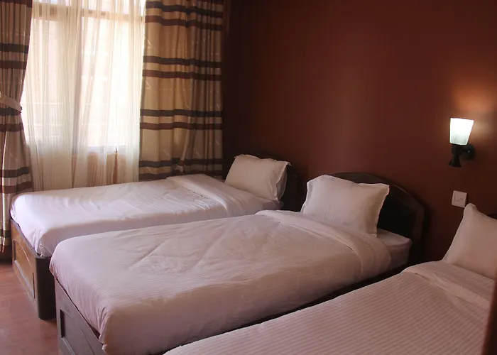 Guest house Khangsar 3*